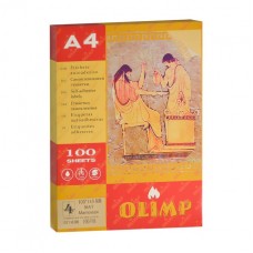 Этикетки А4 2шт. 210*143мм (100л)