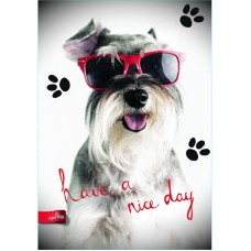 Тетрадь A4 48л. клетка Mar-Mar Basic Have a nice day Тетрадь A4 48л. клетка Mar-Mar Basic Have a nice day