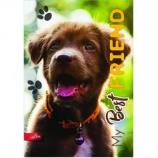 Тетрадь A4 48л. клетка Mar-Mar Basic My best friend Тетрадь A4 48л. клетка Mar-Mar Basic My best friend